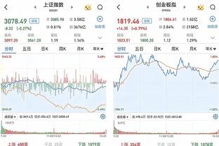 开云手机版登录入口网址截图3